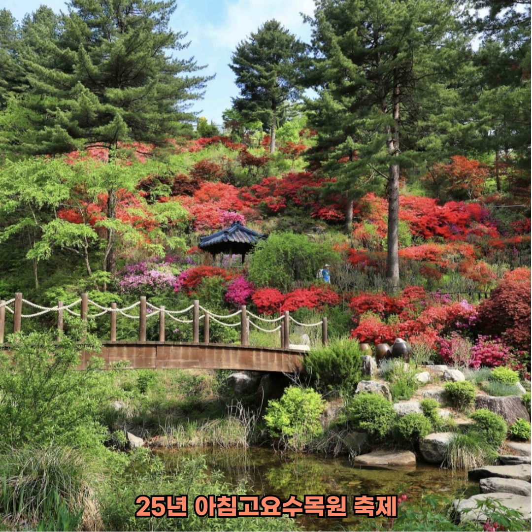 25년 아침고요수목원 축제 