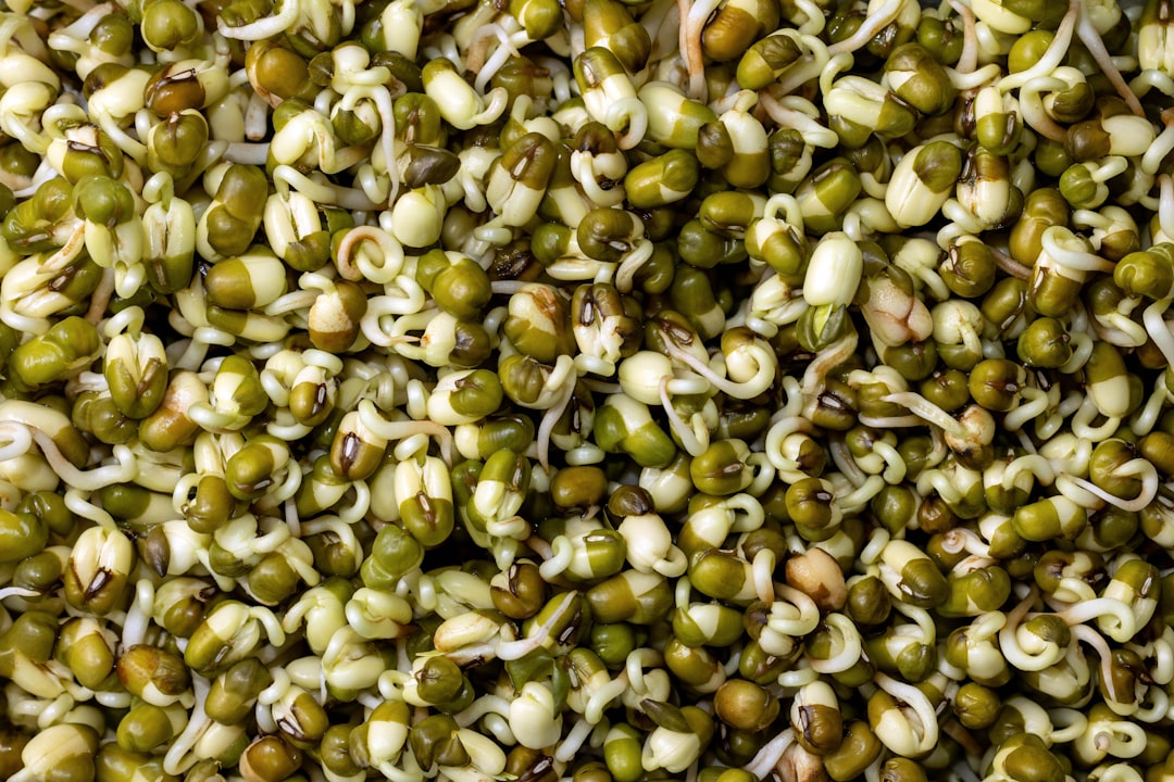 Mung bean