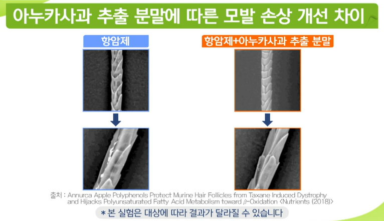 아누카사과 분말 효능