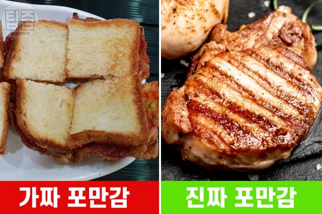 식욕억제제 약 효과 식욕감퇴 음식,포만감,가짜식욕퇴치