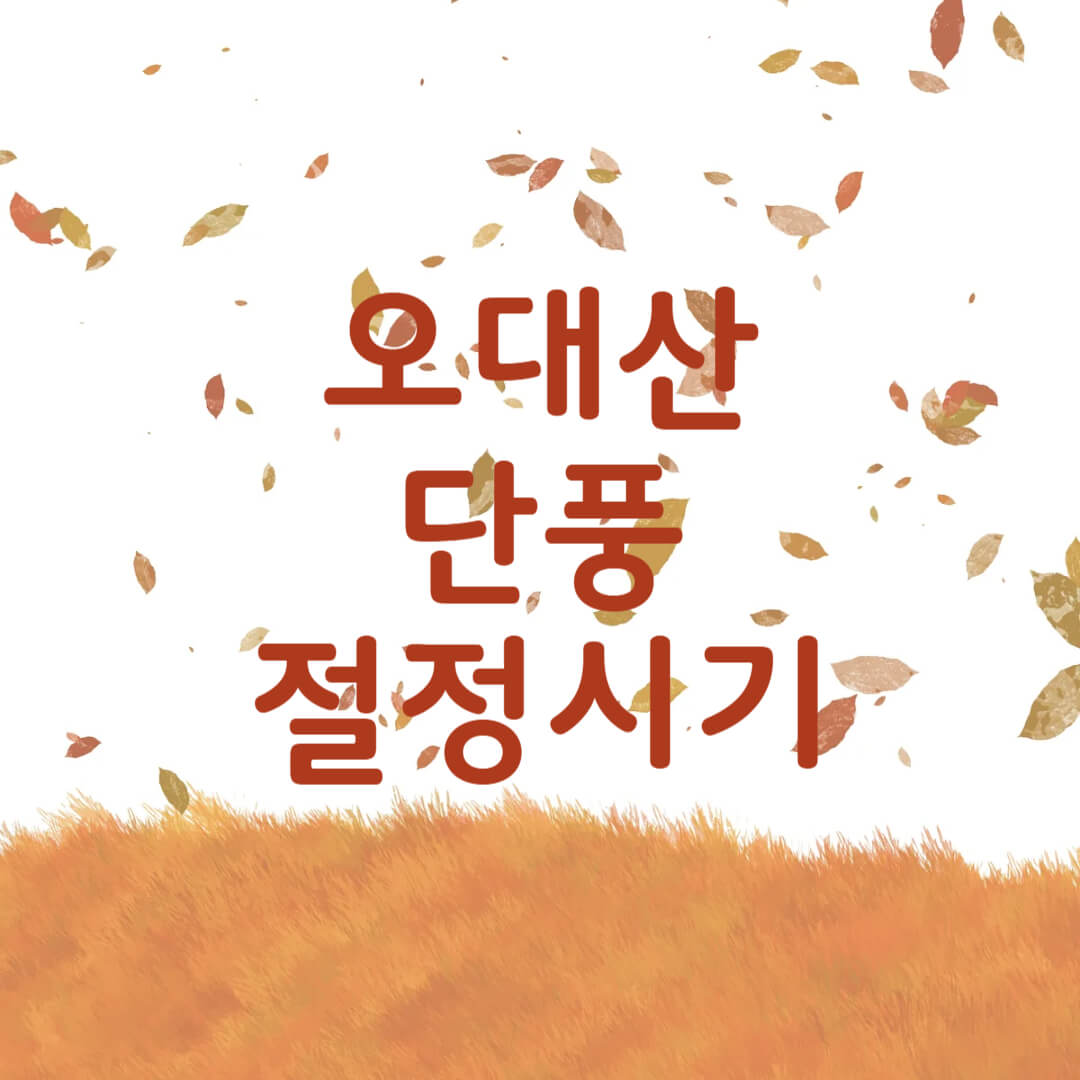 오대산 단풍 절정시기