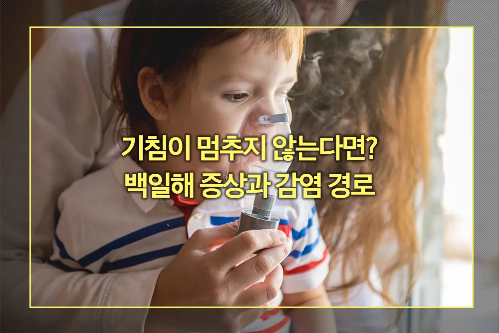 백일해 증상 감염 경로