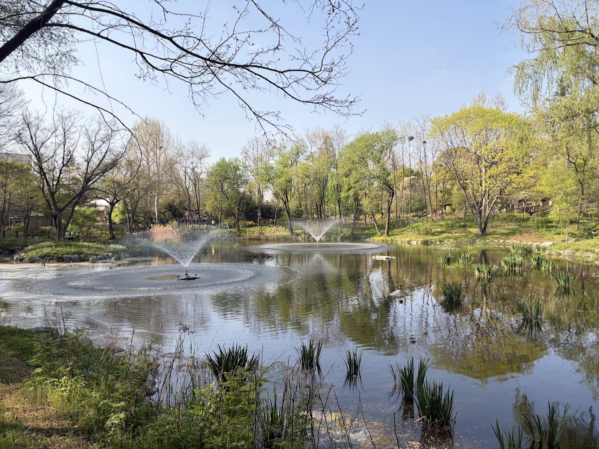 추억의 어린이대공원