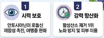 블루베리 효능