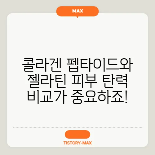 콜라겐 펩타이드와 젤라틴 피부 탄력 비교가 중요하죠!