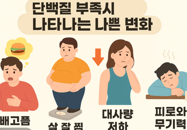 단백질 부족시 나타나는 나쁜 변화
