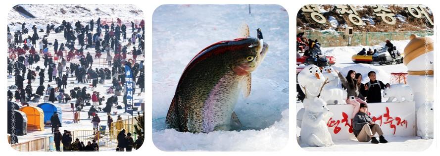 단 한 달뿐인 2026 평창송어축제&amp;#44; 2월 9일 끝나기 전에 꼭 가야 하는 이유