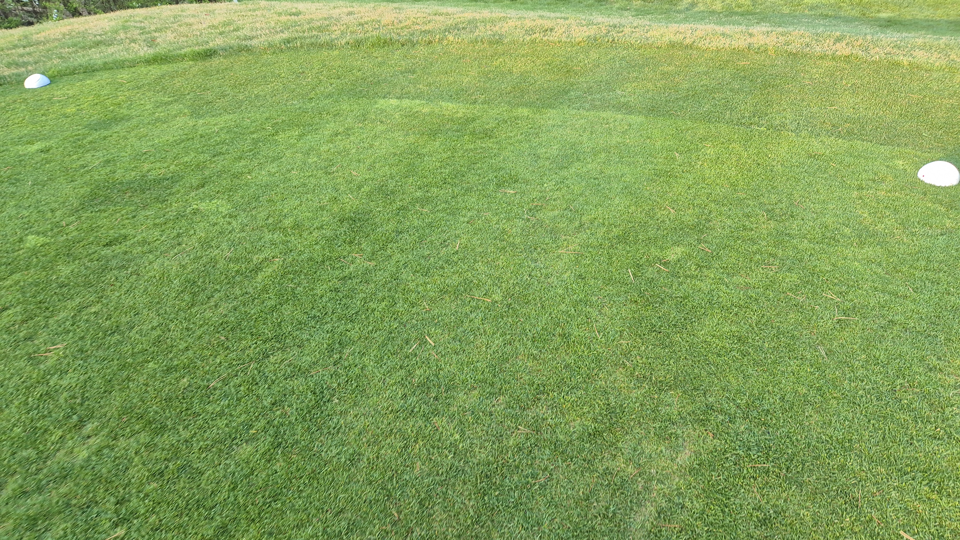 소노펠리체cc 비발디파크 웨스트