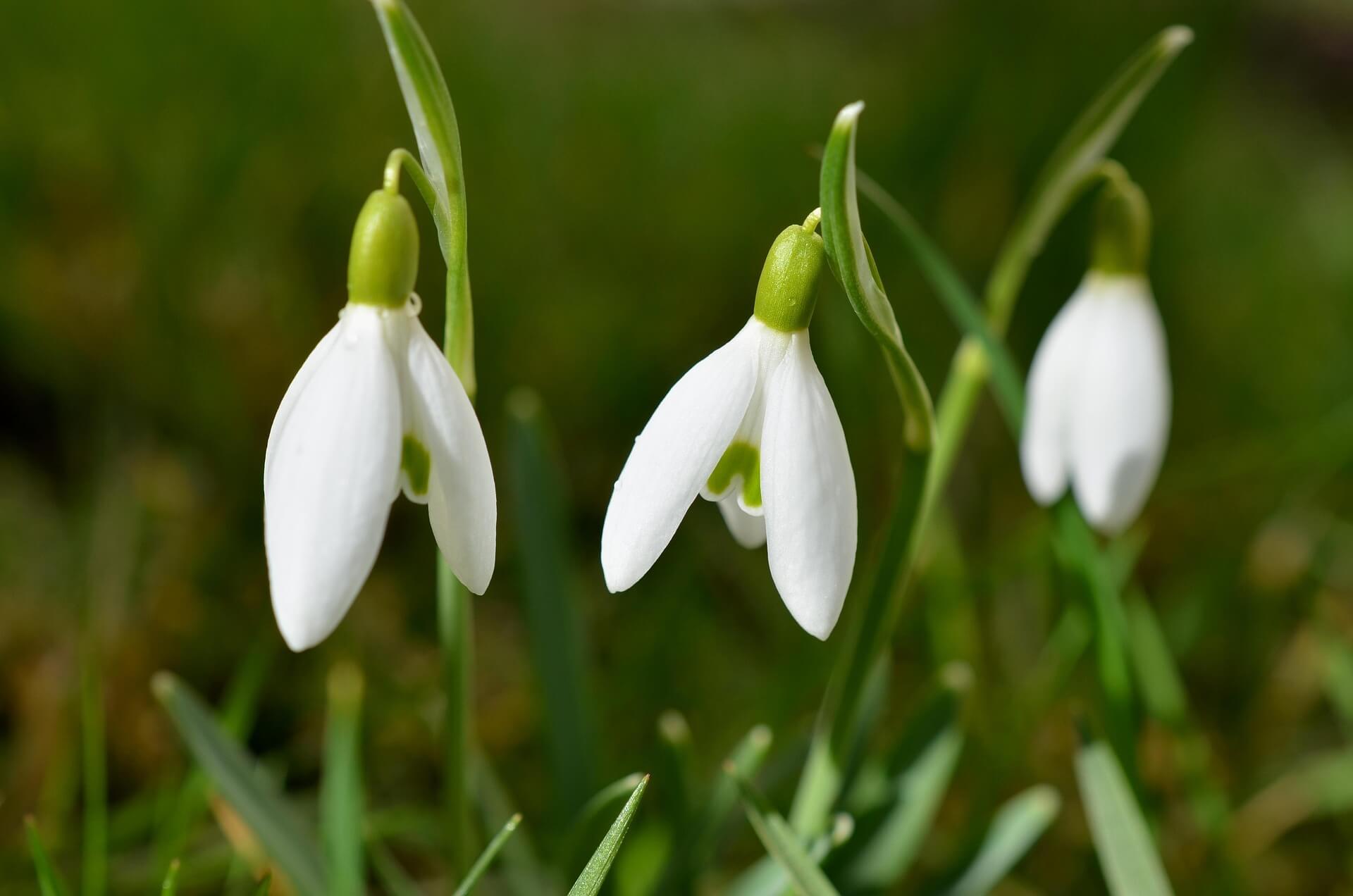 홈가드닝
