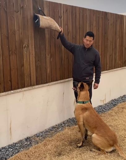 강형욱 SNS 재개 갑질 논란 해명