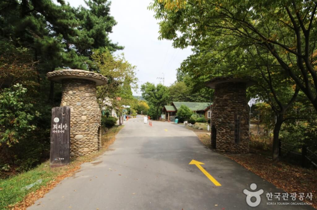 서천 가볼만한곳 베스트10 희리산해송자연휴양림