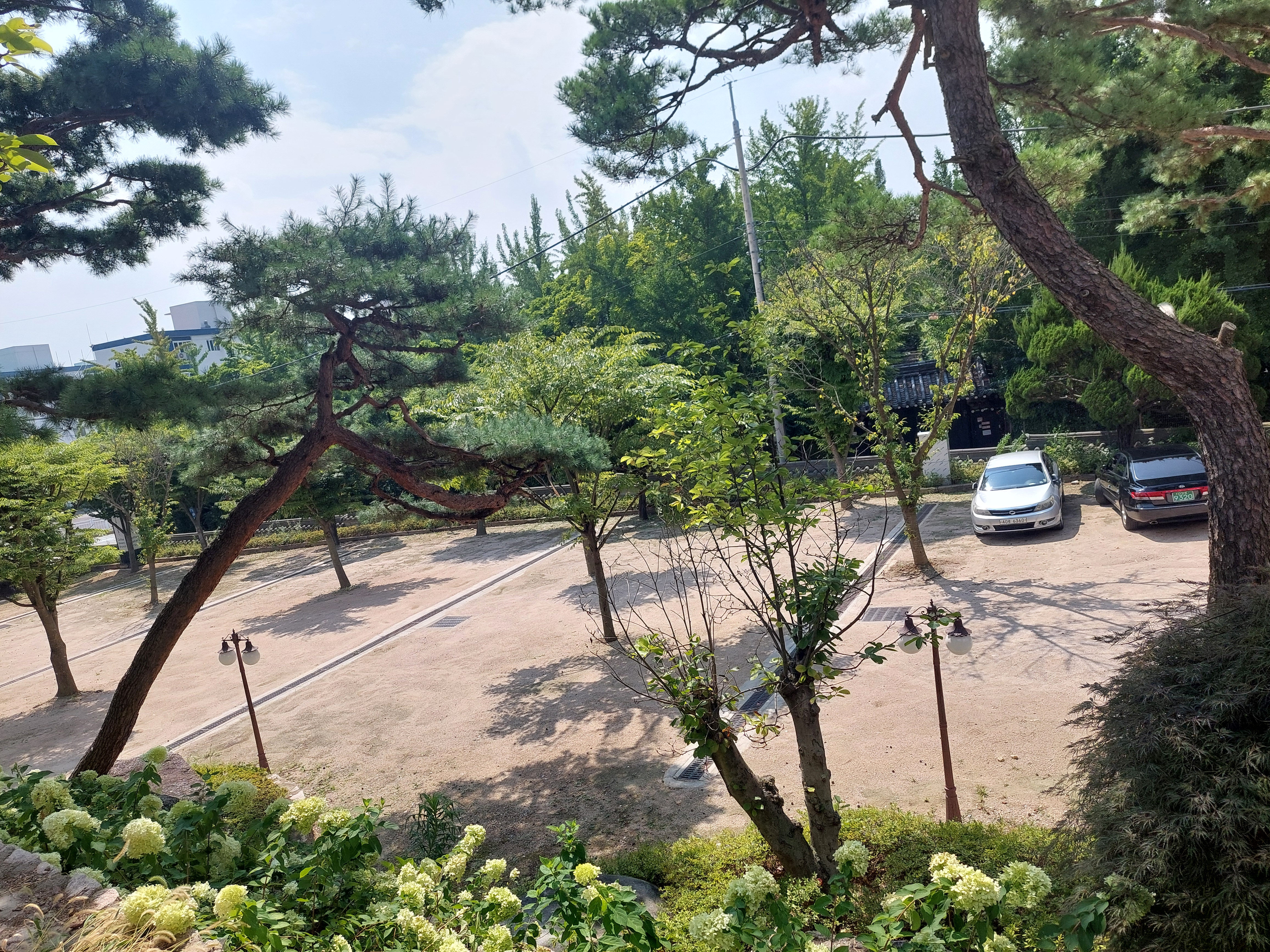 카페