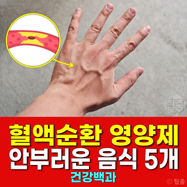 혈액순환영양제 추천 혈관에 좋은 음식