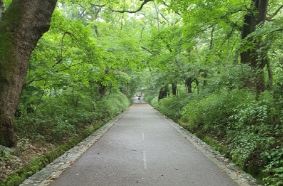 계룡산 동학사, 갑사, 신원사