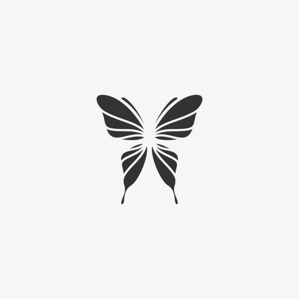 나비를 보고 무서운 꿈