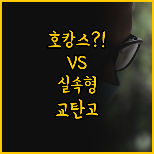 일본 교탄고 여행 숙소 비교 호화 호..