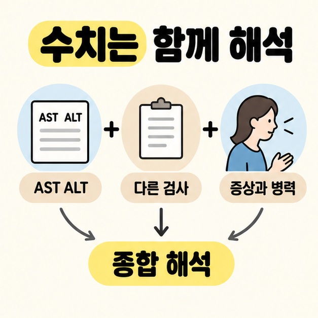 AST ALT 결과지와 다른 검사, 증상과 병력을 더하기 기호로 잇고 세 항목을 종합 해석으로 연결한 그림