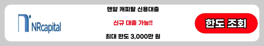 앤알캐피탈