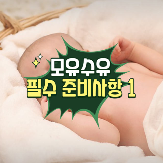 모유수유 필수 준비사항 1