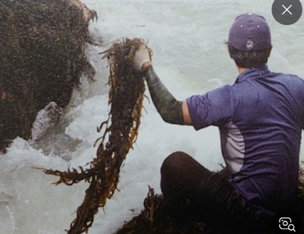 극한직업-맹골도-돌미역-택배-주문