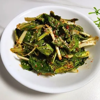 겉절이 맛있게 담그는 법 겉절이 김치 황금 레시피_12