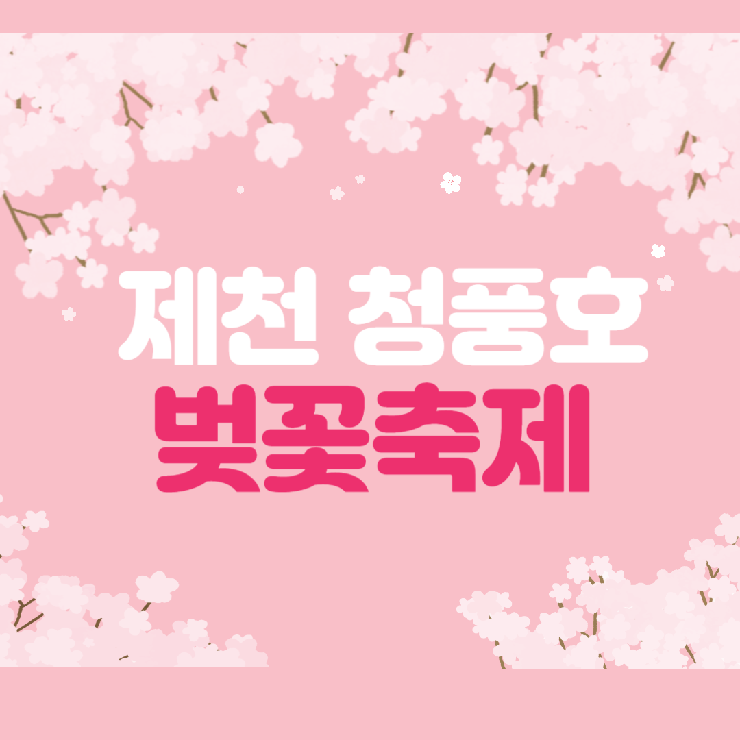 제천 청풍호 벚꽃축제 소풍 주차 맛집 총정리