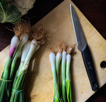 대파 효능과 부작용 고르는법