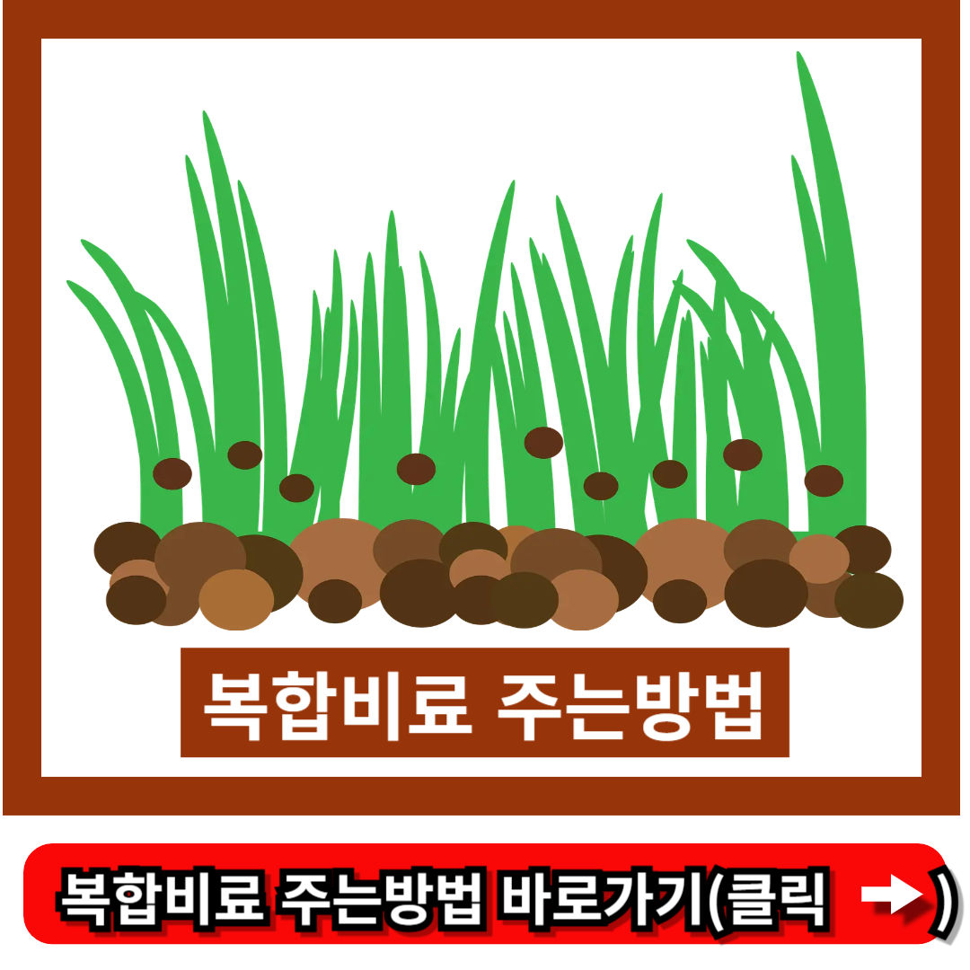복합비료 주는방법