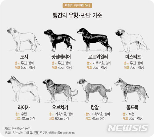 맹견사육허가제