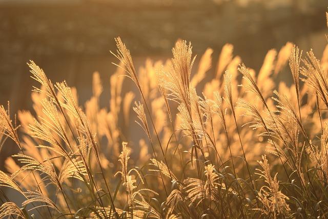 10자 붙박이장 가격