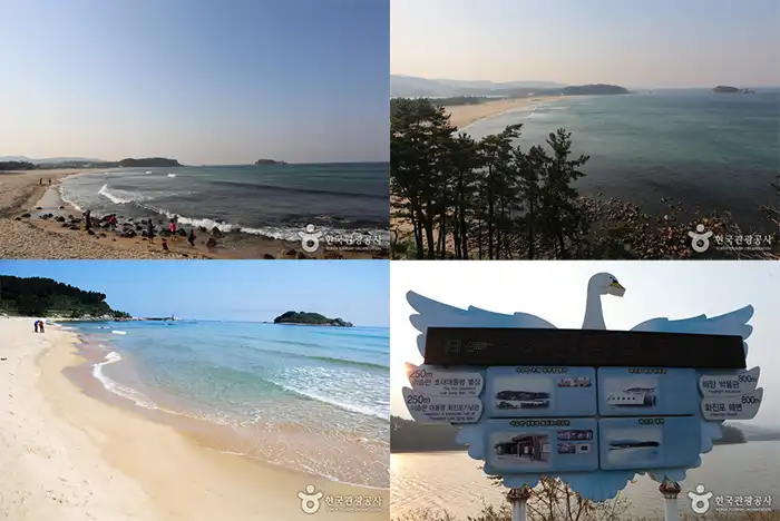 화진포 해변 전경 이미지