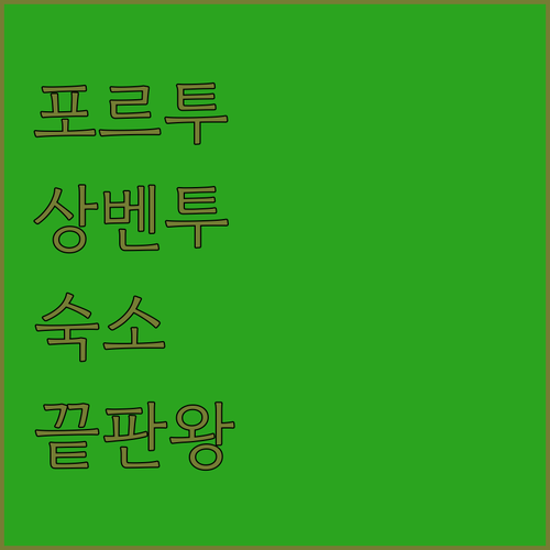 포르투 숙소 추천 상 벤투 역 근처 ..