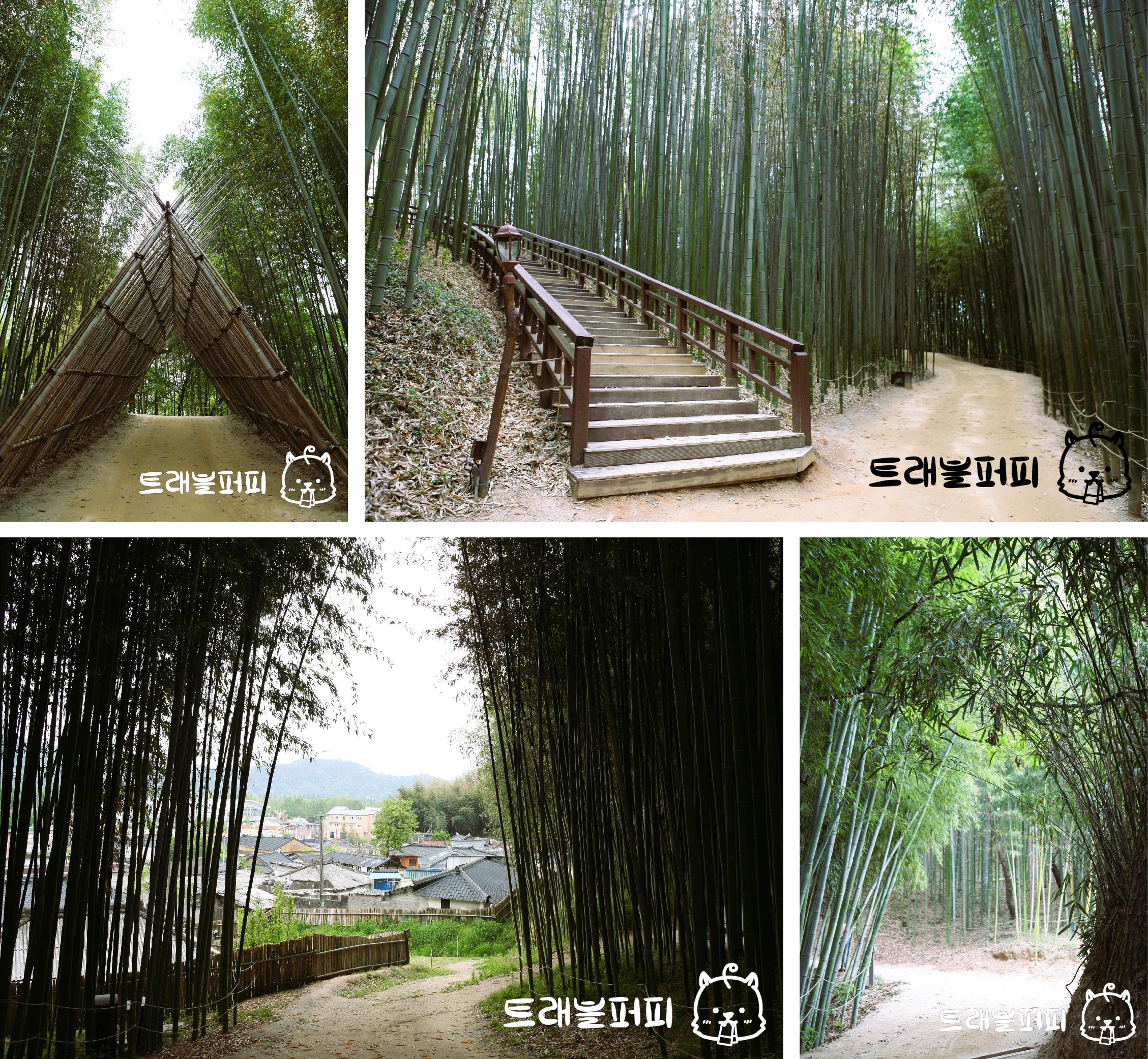 사랑이 변치 않는 길 사진.