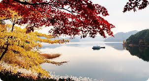 대청호반길 단풍 명소