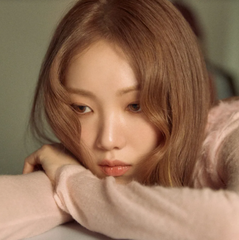 이성경 뮤지컬 알라딘 프로필 나이