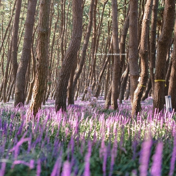 서천 가볼만한곳