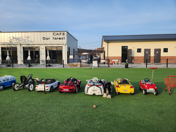 가평 반려견 캠핑장 '아워포레스트' 미리보기