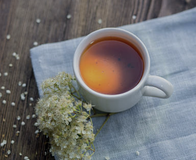 메밀차 효능 부작용 만드는법 먹는방법 총정리(2024 최신)