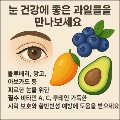 눈 건강에 좋은 블루베리 효능