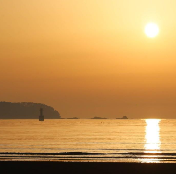 부산 시민 중복지원금 총정리