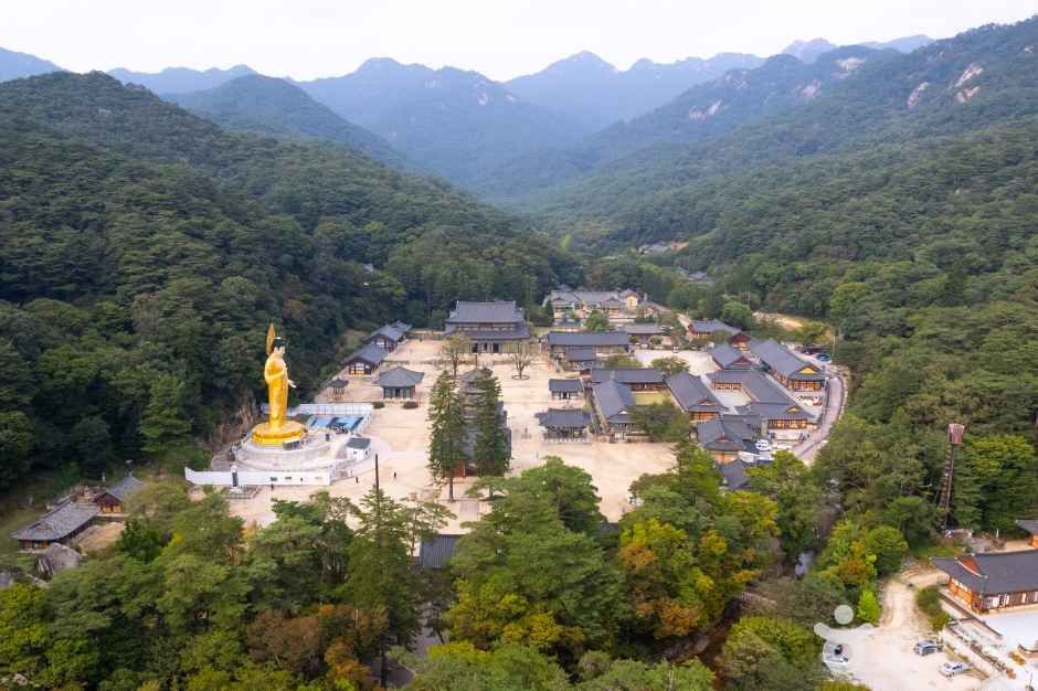 속리산 법주사 경내 전경과 미륵대불