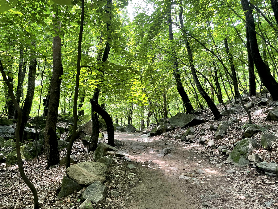 쌍폭포 가는 길
