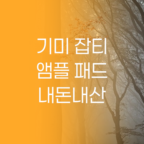 센텔리안24 마데카 멜라캡처 앰플 패