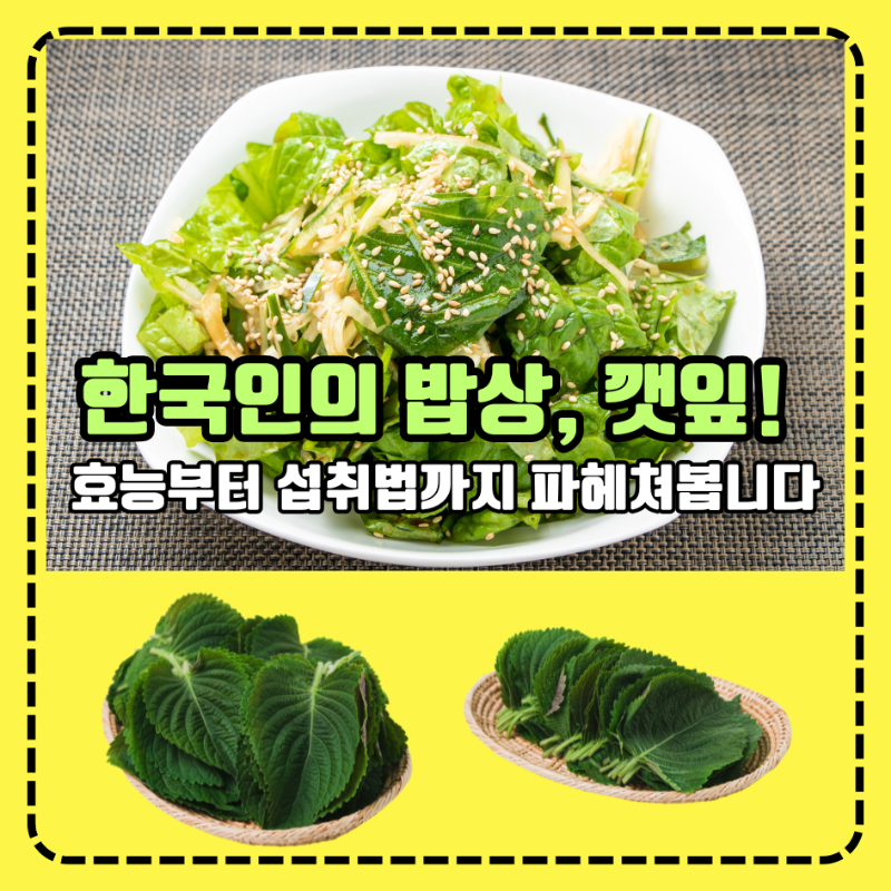 한국인의 밥상, 깻잎! 효능