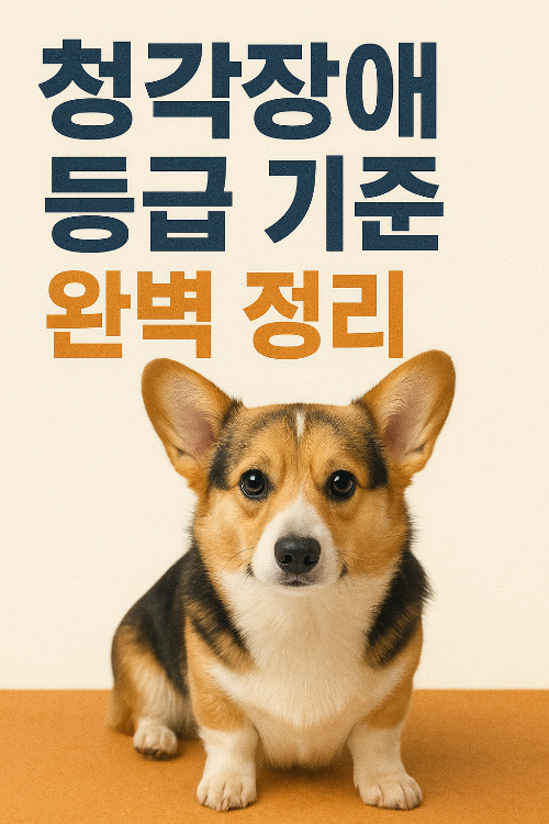 청각장애 등급 기준 완벽 정리