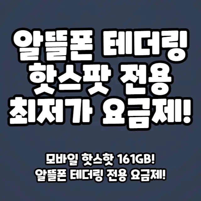 알뜰폰-테더링-모바일핫스팟-161GB-전용-최저가-요금제