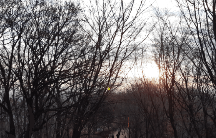 2025 경기도 새해 일출 명소 일출 시간