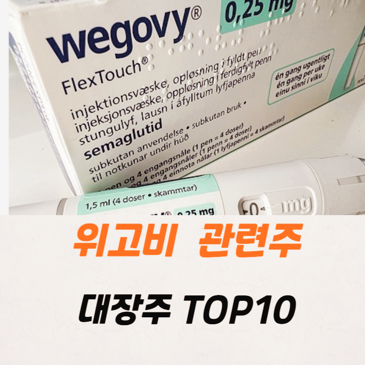 위고비 관련주 대장주 TOP10