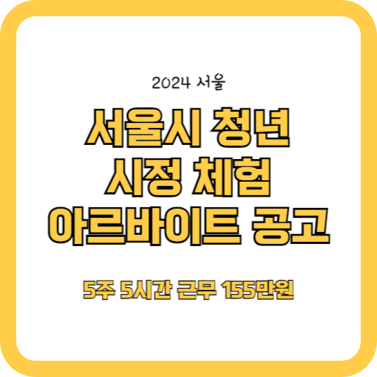 (6.5~10)서울시 청년 시정체험 아르바이트 공고