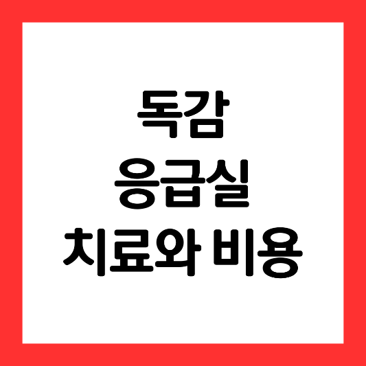 독감-응급실-치료와 비용